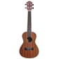 110410 Everdeen UKCB Ukulele vertikal1.jpg