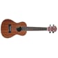 110410_Rel Everdeen UKCB Ukulele.jpg