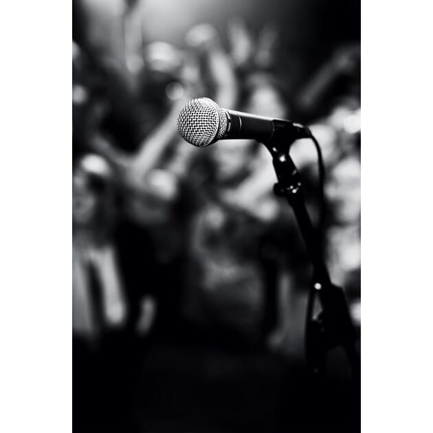 SHU-SM58-LCE Shure SM58.jpeg